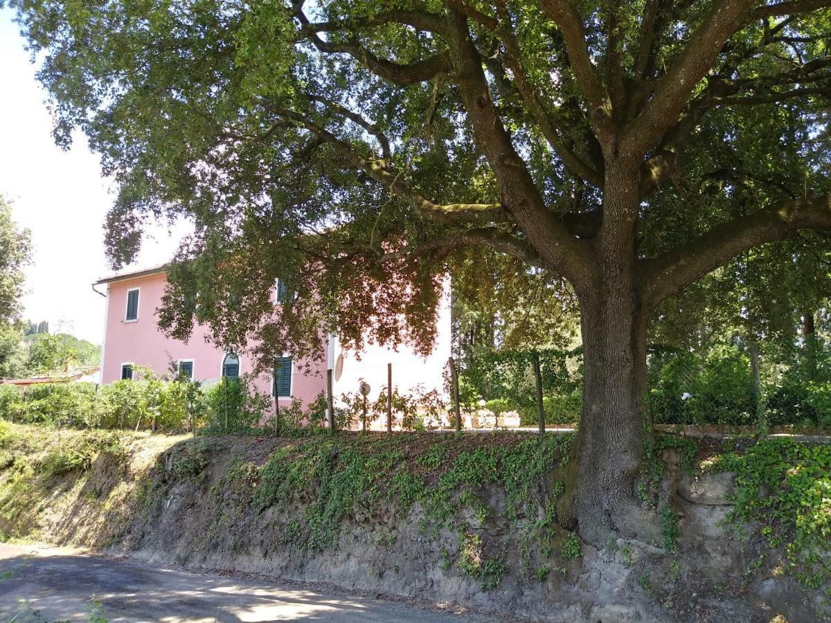 Podere Il Leccione Palaia Zewnętrze zdjęcie